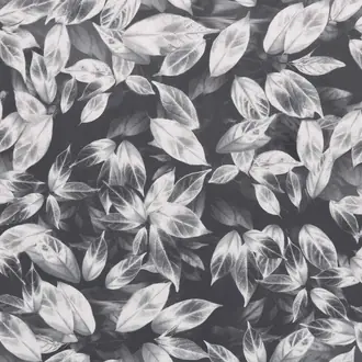 Giardino Slate