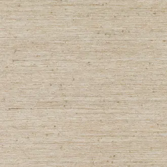 Raffia Canvas MW103-01