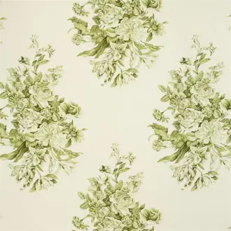 Campanula Olive FQ031-02