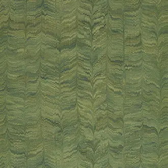 Jaipur Plain 313084