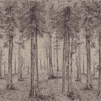 A thousand redwoods FP803002