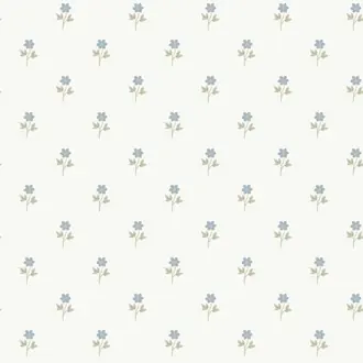 Anemone 6974