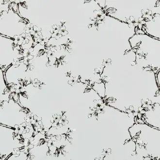 Flowering 21262981
