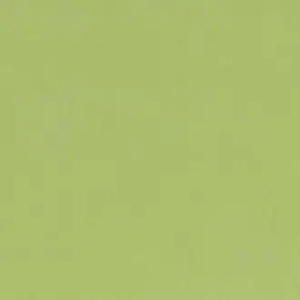 Barcelona Matcha V3347-47
