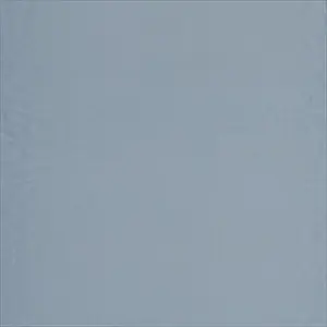 Shiva 3 D202 107 09