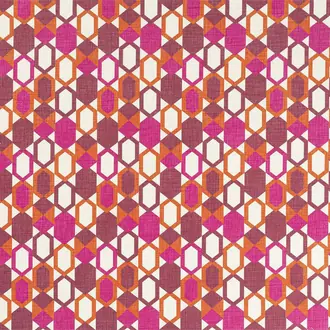 Zanus Fucsia
