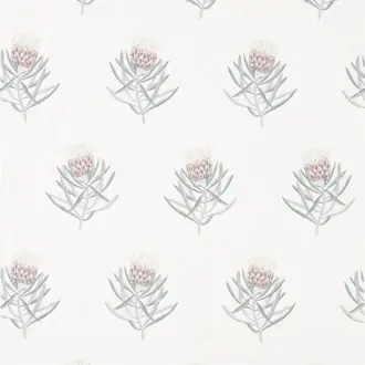 Protea Flower 236352