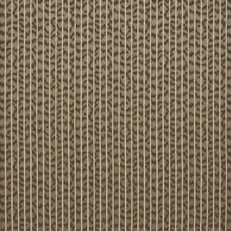 Caracal Bronze