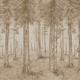 A thousand redwoods FP803001