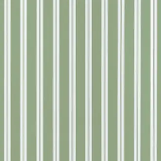 Payton Stripe AT10703