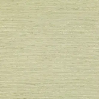 Chandbali Wide Eden W595-12