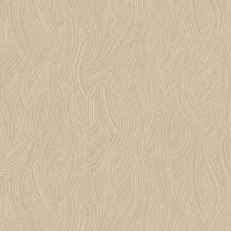 Kashmir 76552854