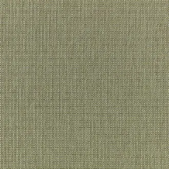 Clubhouse Olive