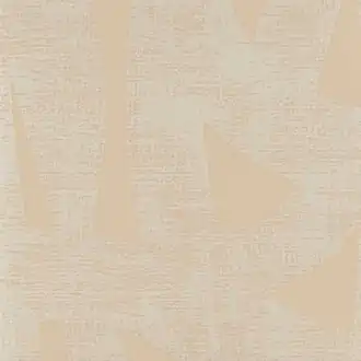 Venice VNC-01
