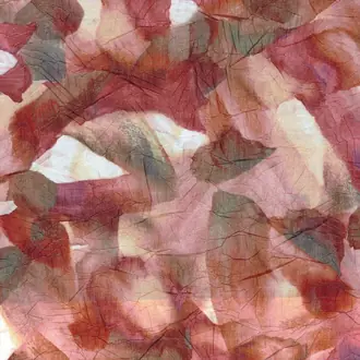 Caladium 7047 01 40