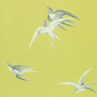 Swallows DVIWSW101