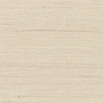 Silkx Raw 67499