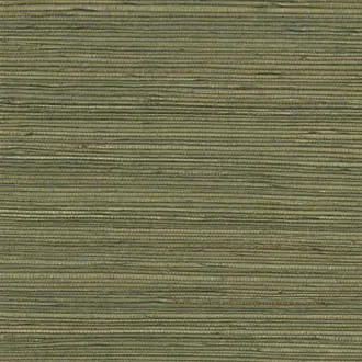 Gradient 52405