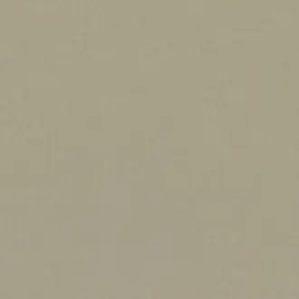 Barcelona Sepia V3347-49