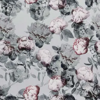 Jessamine Peony
