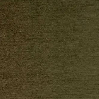 Augusta Olive