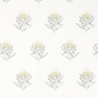 Protea Flower 236355