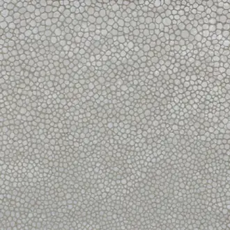 L-Sinar L-SINAR-SILVER