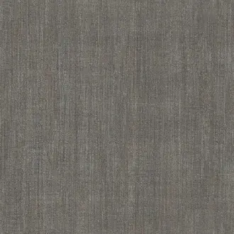 Shades Of Colour AL26213