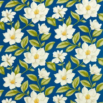 Grandiflora 226866