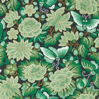 Amara Butterfly 217117