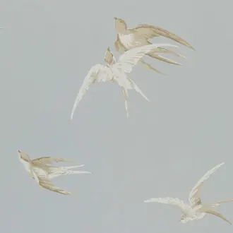 Swallows DVIWSW104