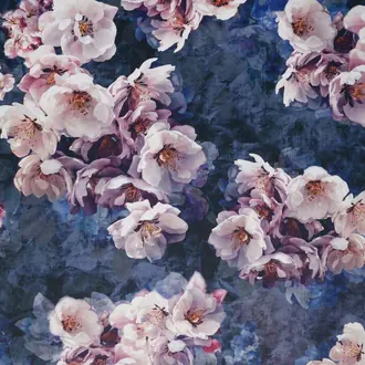 Jolanda Amethyst