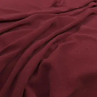 Koki Fuchsia