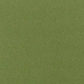 Loden FDG3009-13