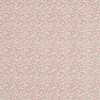 Vermicule BP205001