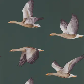 Elysian Geese 216608