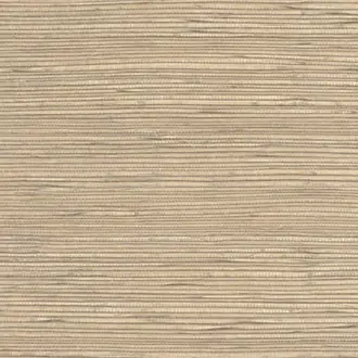 Gradient 52407