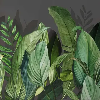Tropical 18002