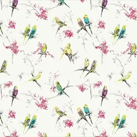 Chirpy_001