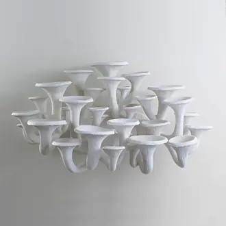 Mushroom Wall Light Large TWL135L Tawny Lighting