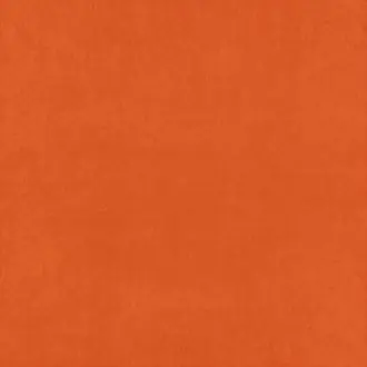 Belvoir Recycled Burnt Orange