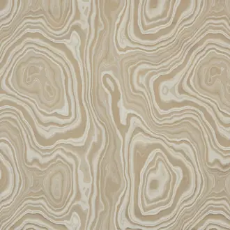 Eco I6596003