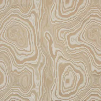 Eco I6596003
