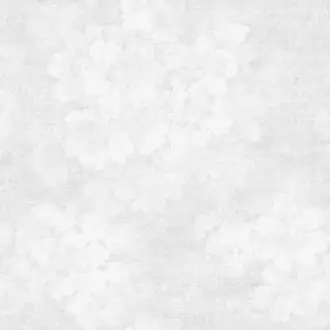 Atmosphere G78262