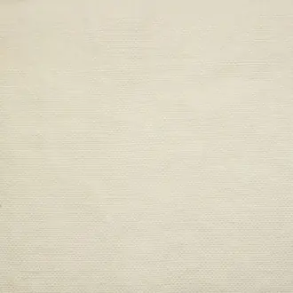 Canvas 01