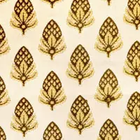 Acorn F0069-03
