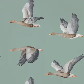 Elysian Geese 216610