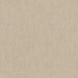Plains 301525