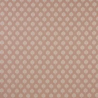 Segoa Blush