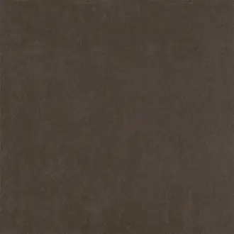Belvoir Recycled Charcoal